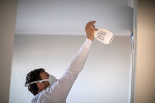 Best Fast Mold Removal  in Lost Hills, CA