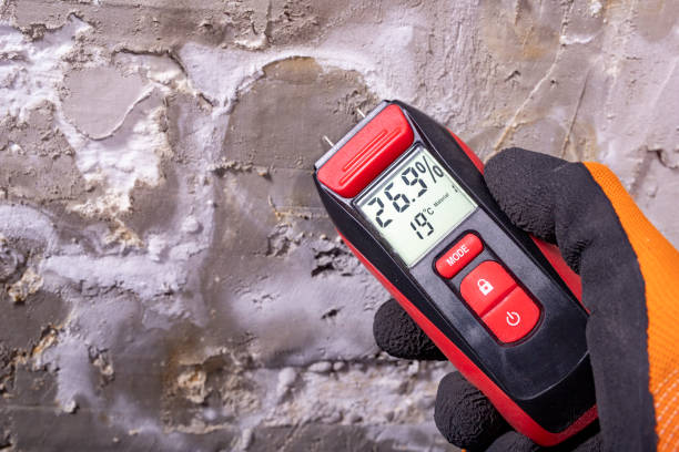 Best Commercial Mold Removal  in Lost Hills, CA