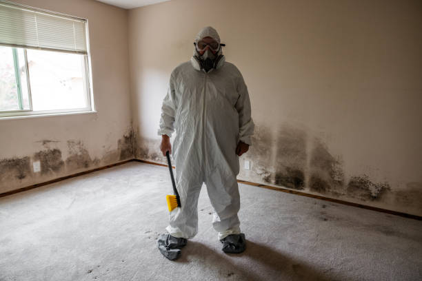 Trusted Lost Hills, CA Mold Removal Experts