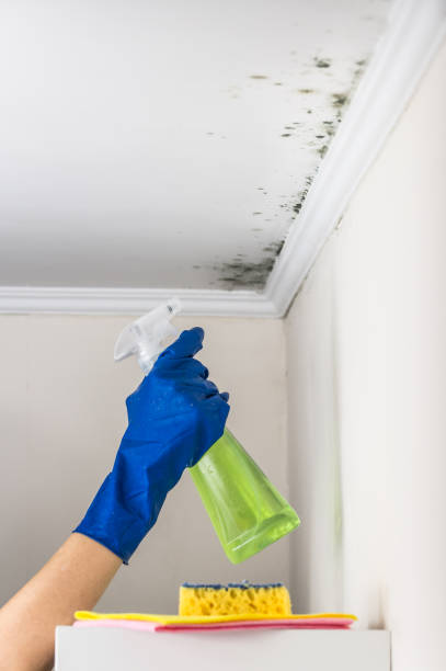 Best Water Damage Restoration  in Lost Hills, CA