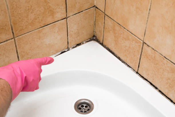 Best Residential Mold Removal  in Lost Hills, CA